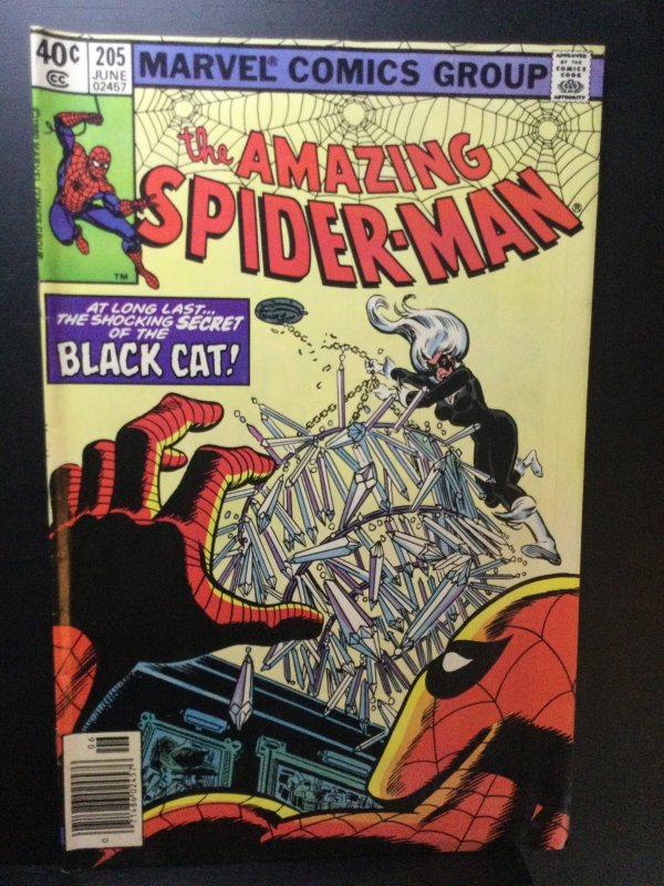The Amazing Spider-Man #205 (1980)