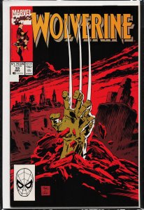 Wolverine #24 (1990) Wolverine