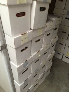 1,000 COMIC BOOKS LOT - NO DUPLICATION -WHOLESALE-MARVEL/DC/IND BULK