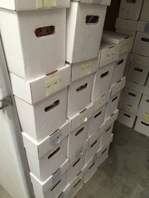 1,000 COMIC BOOKS LOT - NO DUPLICATION -WHOLESALE-MARVEL/DC/IND BULK