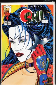 Shi: The Way of the Warrior #4 (1995) Shi