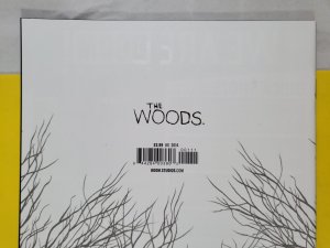 The Woods #1 Matthew Woodson 1:10 Variant 2014 Boom! Studios Optioned