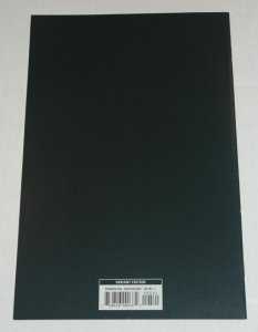 Punisher 5 D Fantastic Four Villain’s Variant Cover NM 9.6 or Higher