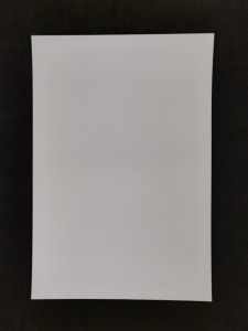 Vampirella 13 x 19 Black & White Art Print signed by Don Monroe