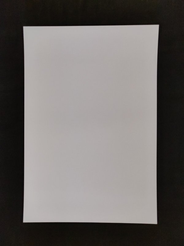 Vampirella 13 x 19 Black & White Art Print signed by Don Monroe