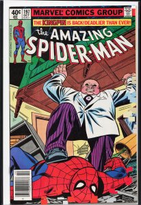 The Amazing Spider-Man #197 (1979) Spider-Man