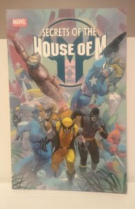 Secrets of the House of M (2005)
