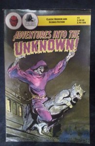 Adventures into the Unknown #3 (1991)