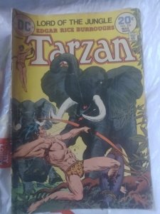 Edgar Rice Burroughs' Tarzan #229 (1974)