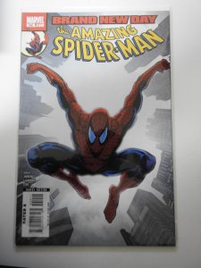 The Amazing Spider-Man #552 (2008)