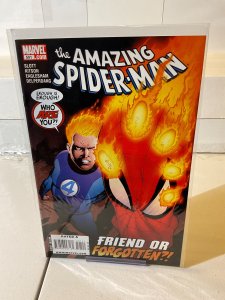 Amazing Spider-Man #591 (2009)