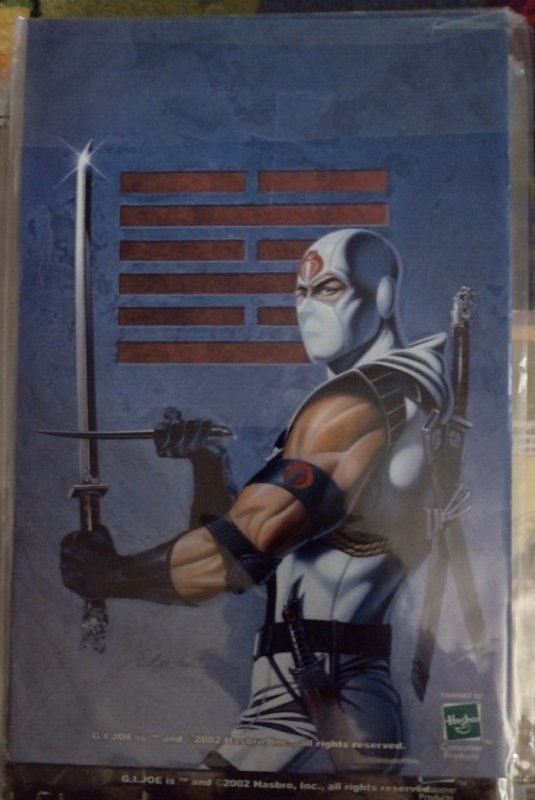 GI JOE A REAL AMERICAN HERO # 6  2002 IMAGE    STORM SHADOW painted cvr g.i. joe