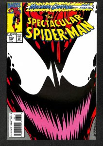 The Spectacular Spider-Man #203 (1993)