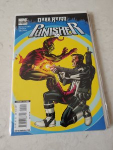 Punisher #5 Variant Edition (2009)