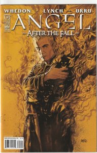 Angel After The Fall # 2 Cover A NM IDW 2007 [J7]