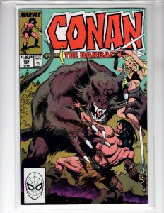 Conan the Barbarian #224 (1989)- [NSC•ECA8]