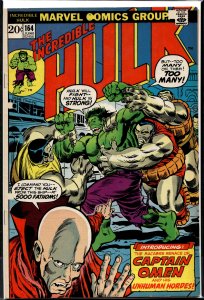 The Incredible Hulk #164 (1973) Hulk