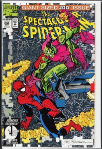 The Spectacular Spider-Man #200 (1993) Spider-Man