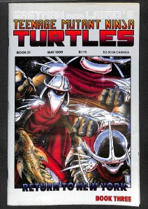 Teenage Mutant Ninja Turtles #21