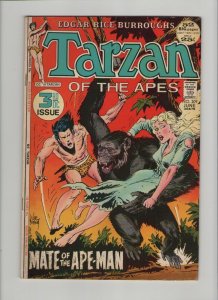 Tarzan #209 - Mate Of The Ape-Man - 1972 (Grade 4.0) WH