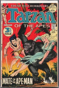 Edgar Rice Burroughs' Tarzan #209 (1972)