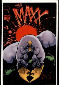 The Maxx: Maxximized #1 Variant Cover (2013)