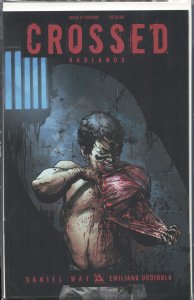 Crossed Badlands #47 Torture Variant Cover by Rafael Ortiz (2014)