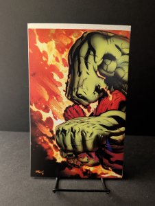 Hulk #24 Ed McGuiness Cover (2010)