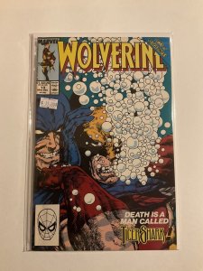 Wolverine 19 Near Mint Nm Marvel