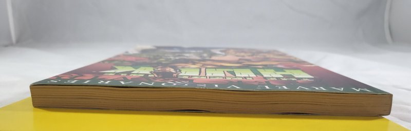 Incredible Hulk Visionaries Peter David Volume 4 TPB  2007 Marvel Comics