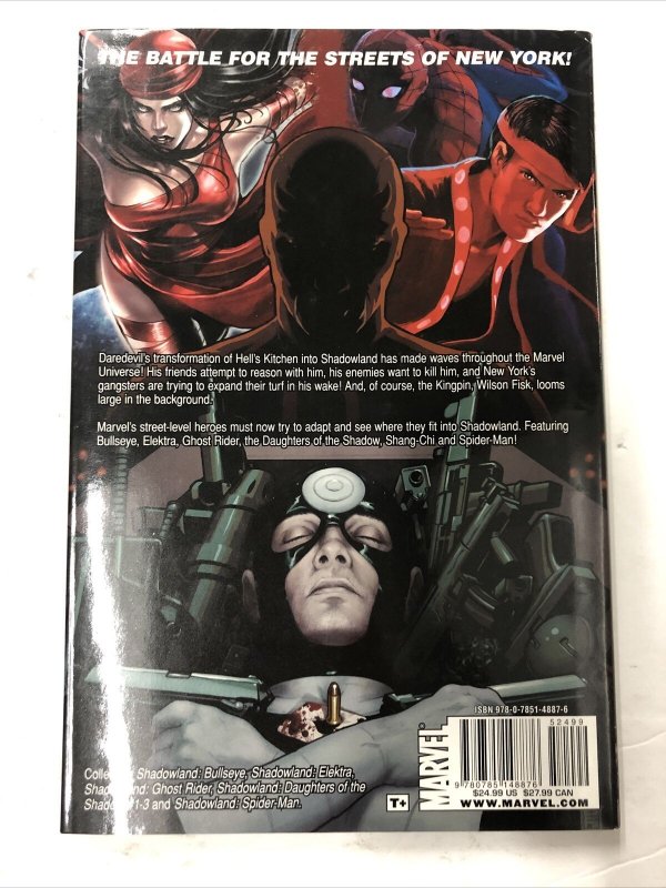 ShadowLand Street Heroes (2011) HC Marvel Comics