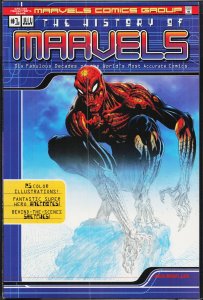 The History of Marvels Comics (2000) Spider-Man