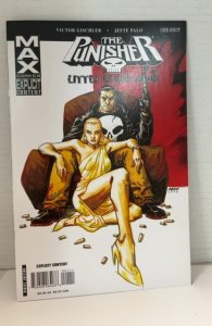 Punisher: Little Black Book (2008)