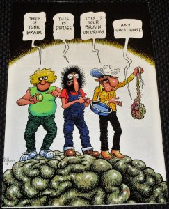 The Fabulous Furry Freak Brothers #12 (1992)