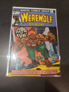Werewolf by Night #25 (1975)