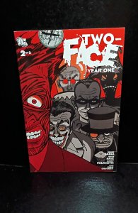 Two-Face: Year One #2 (2008)