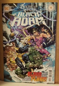 Black Adam: Endless Winter Special #1 (2021)