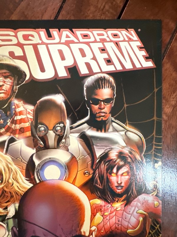 Squadron Supreme #5 (2009)