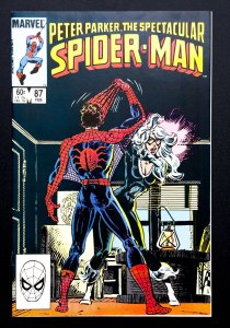 Spect. Spider-Man #87 (1984) -[KEY]Spidey Reveals Identity to Black Cat -VF+