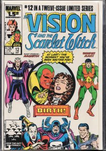 The Vision and the Scarlet Witch #12 (1986) The Vision [Key Issue]
