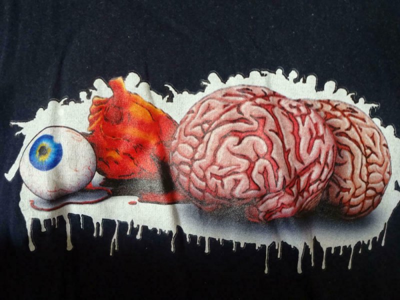 I LOVE BRAINS, Black T-SHIRT, New, Medium, Zombies, Walking Dead, Horror