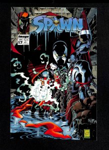 Spawn #17