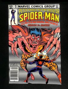 Spectacular Spider-Man #65