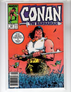Conan the Barbarian #206 (1988) - [NSC•ECA7]