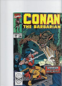 Conan the Barbarian #247, 232, 234, 223  (1991)