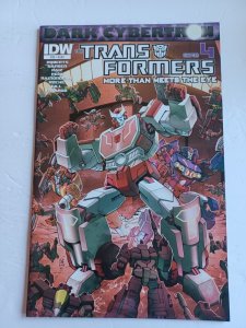 Transformers More Than Meets The Eye #24 A Variant  - IDW - 2014 - NM