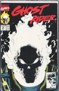 Ghost Rider #15 (1991) Ghost Rider