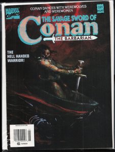 The Savage Sword of Conan #221 (1994) Conan