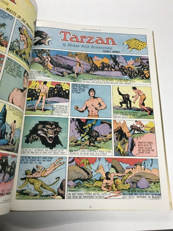 Burne Hogarths Golden Age Of Tarzan 1939-1942 Oversize Hardcover