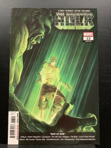 The Immortal Hulk #13 (2019)
